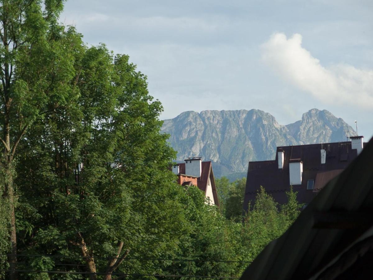 Misia Chata Zakopane Ngoại thất bức ảnh